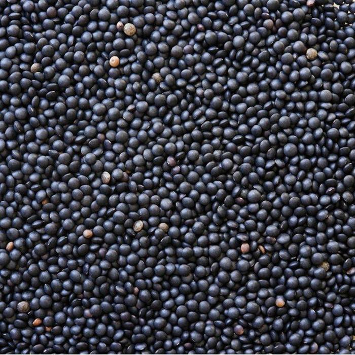 Black Lentils 16 oz